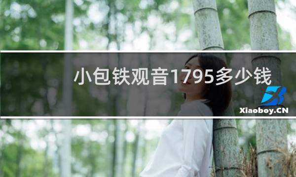 小包铁观音1795多少钱