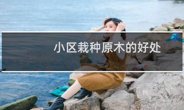 小区栽种原木的好处
