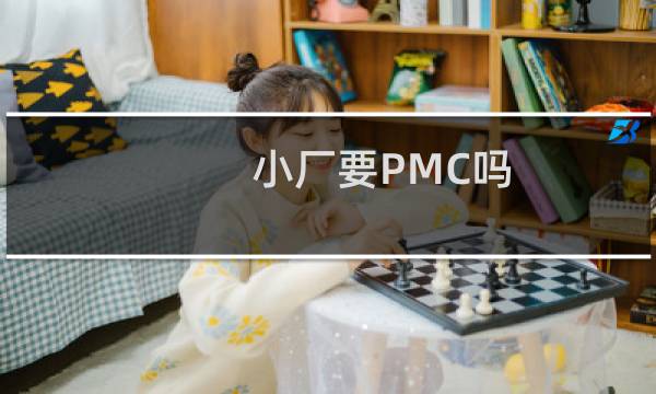 小厂要PMC吗