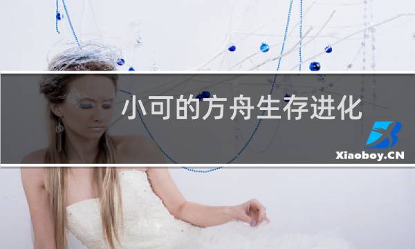 小可的方舟生存进化