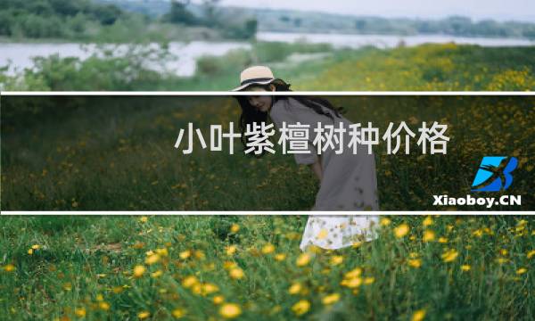 小叶紫檀树种价格