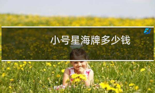 小号星海牌多少钱
