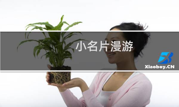 小名片漫游