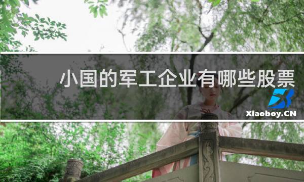 小国的军工企业有哪些股票