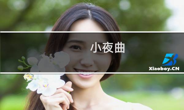 小夜曲 攻略