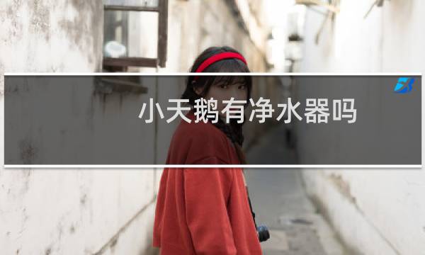 小天鹅有净水器吗