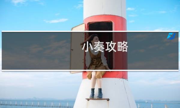 小奏攻略
