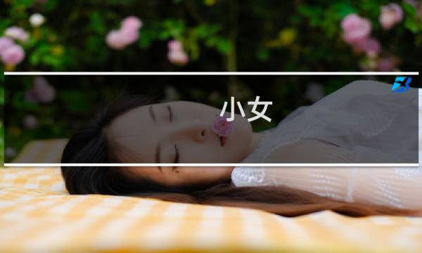小女 游戏攻略