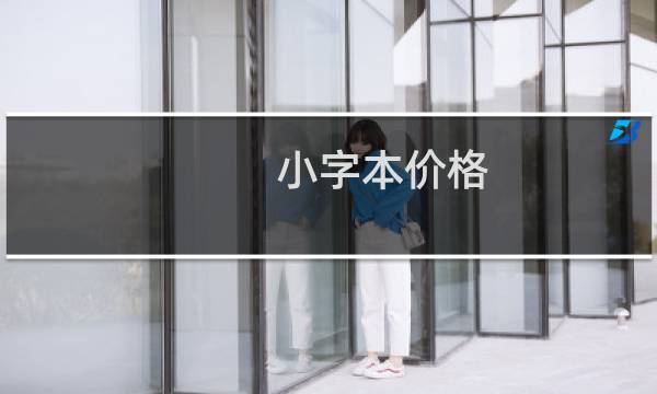 小字本价格