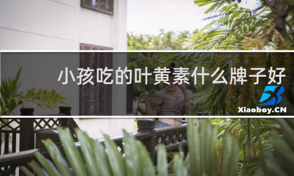 小孩吃的叶黄素什么牌子好
