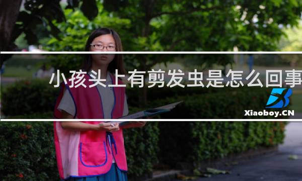 小孩头上有剪发虫是怎么回事