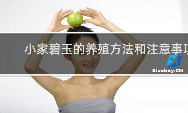 小家碧玉的养殖方法和注意事项