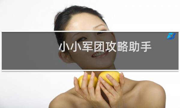 小小军团攻略助手