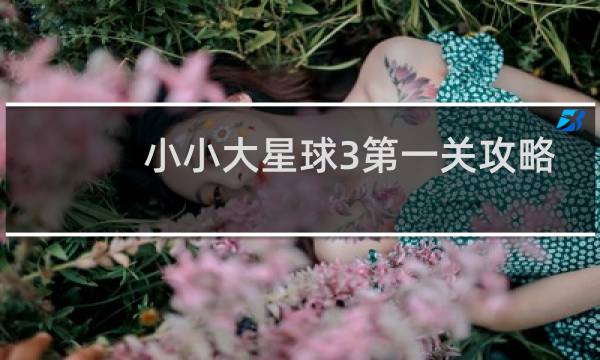 小小大星球3第一关攻略