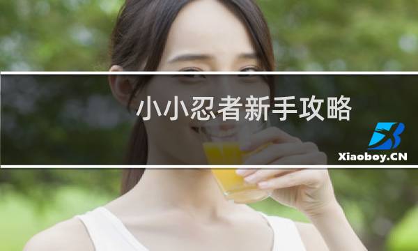 小小忍者新手攻略