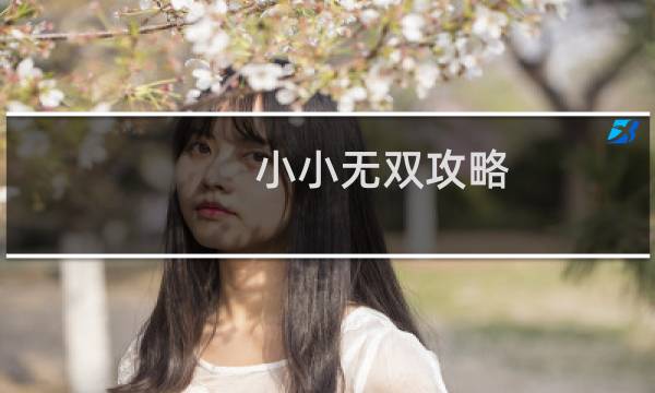 小小无双攻略