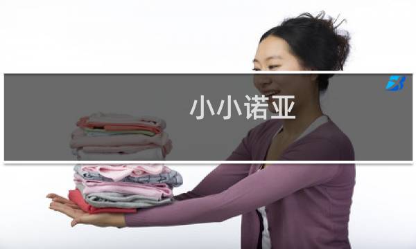 小小诺亚 攻略