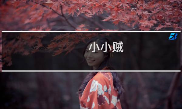 小小贼 攻略