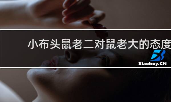 小布头鼠老二对鼠老大的态度