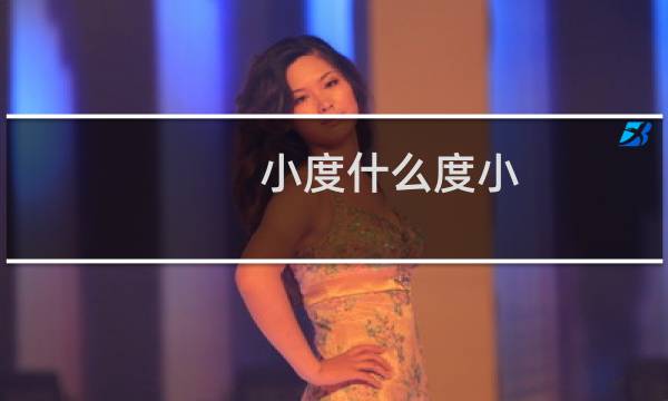 小度什么度小