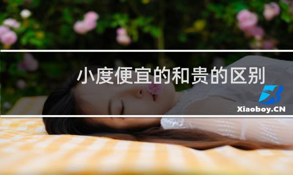 小度便宜的和贵的区别