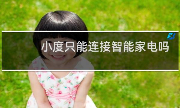 小度只能连接智能家电吗