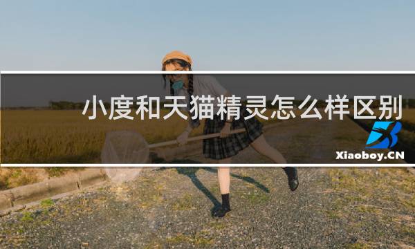 小度和天猫精灵怎么样区别