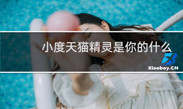 小度天猫精灵是你的什么
