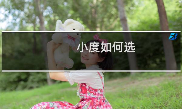 小度如何选