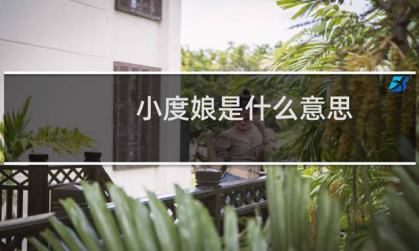 小度娘是什么意思
