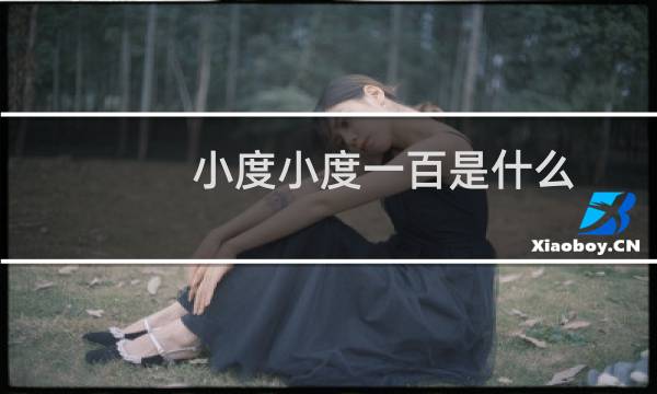 小度小度一百是什么