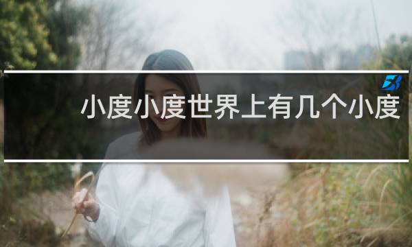 小度小度世界上有几个小度