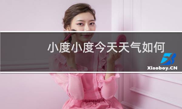 小度小度今天天气如何