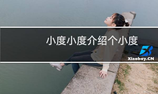 小度小度介绍个小度