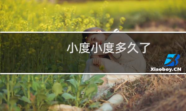 小度小度多久了