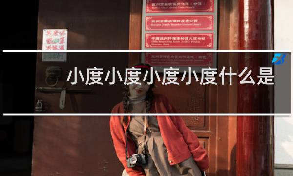 小度小度小度小度什么是