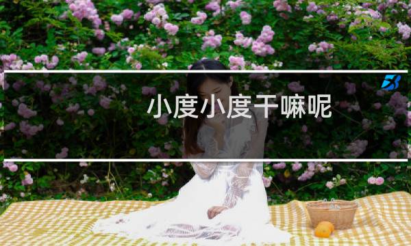 小度小度干嘛呢