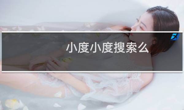 小度小度搜索么