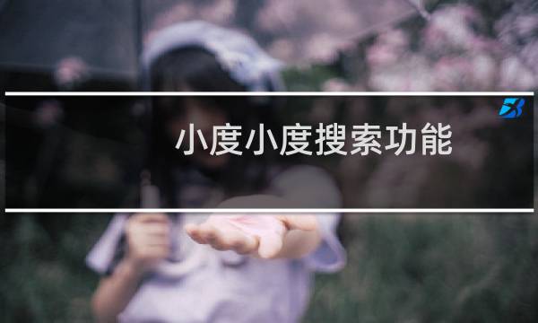 小度小度搜索功能