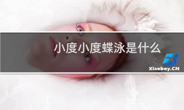 小度小度蝶泳是什么