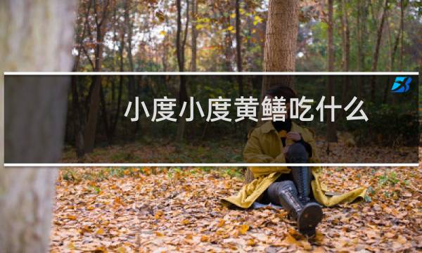 小度小度黄鳝吃什么