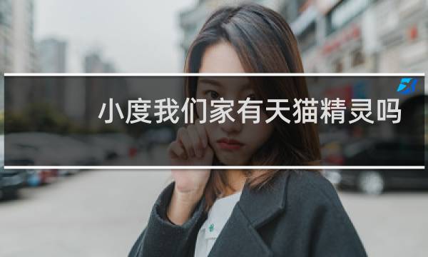 小度我们家有天猫精灵吗