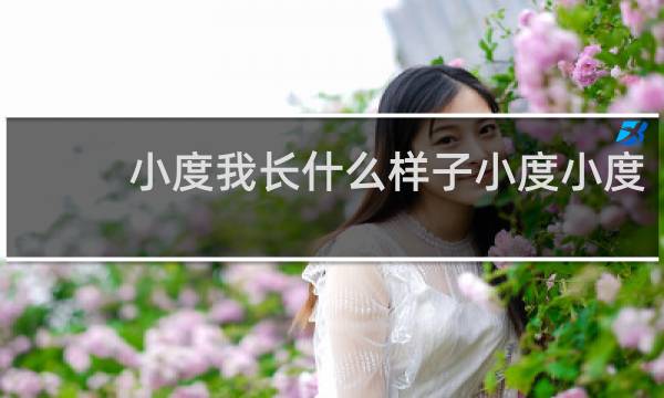 小度我长什么样子小度小度