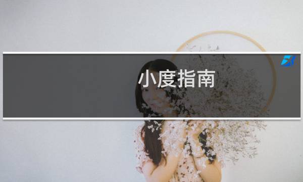小度指南