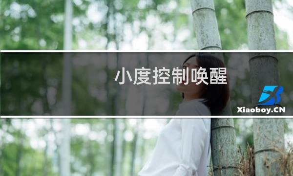 小度控制喚醒