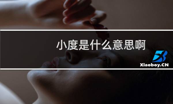 小度是什么意思啊