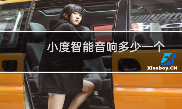 小度智能音响多少一个