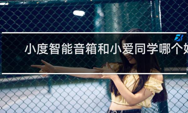 小度智能音箱和小爱同学哪个好