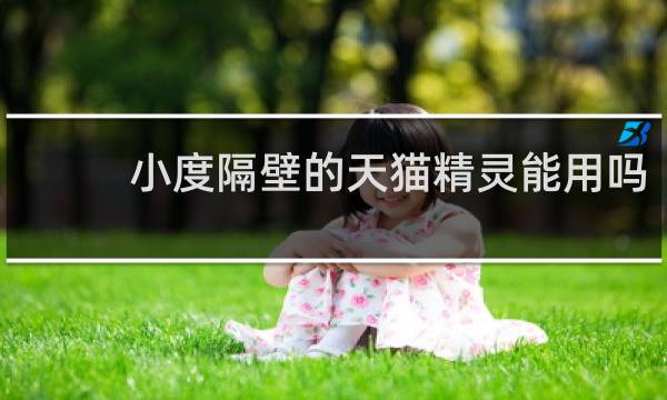 小度隔壁的天猫精灵能用吗