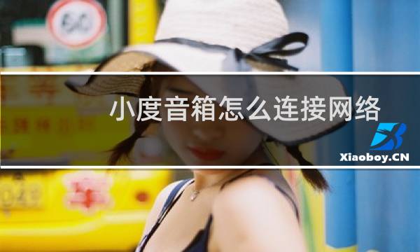 小度音箱怎么连接网络